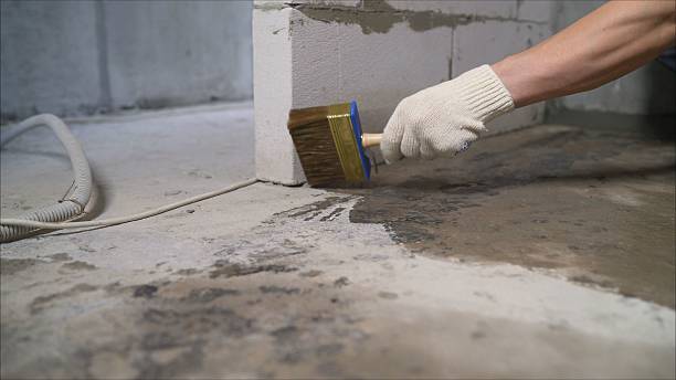 24/7 Emergency Wet Basement Repair experts in Minneapolis, MN